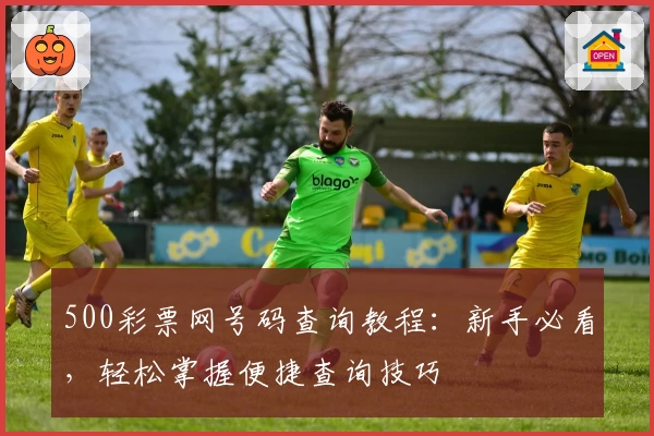 500彩票网号码查询教程：新手必看，轻松掌握便捷查询技巧