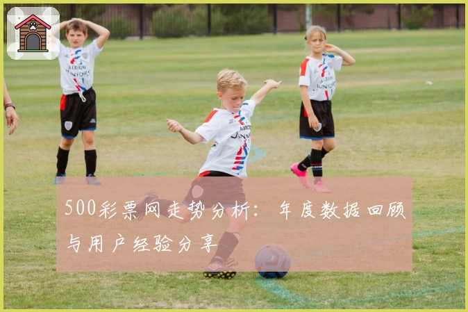 500彩票网走势分析：年度数据回顾与用户经验分享