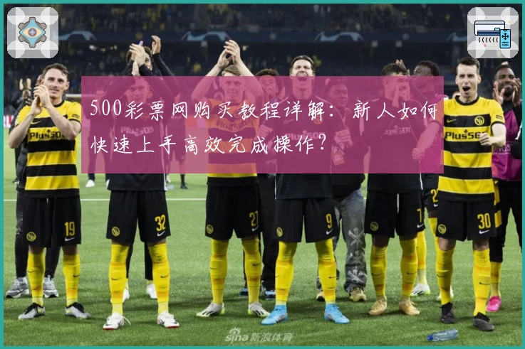 500彩票网购买教程详解：新人如何快速上手高效完成操作？
