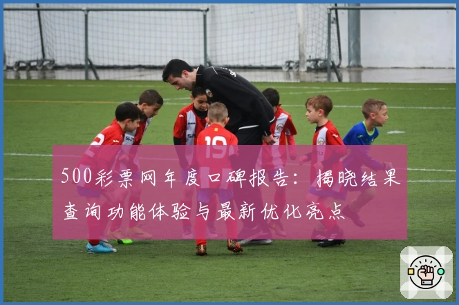 500彩票网年度口碑报告：揭晓结果查询功能体验与最新优化亮点
